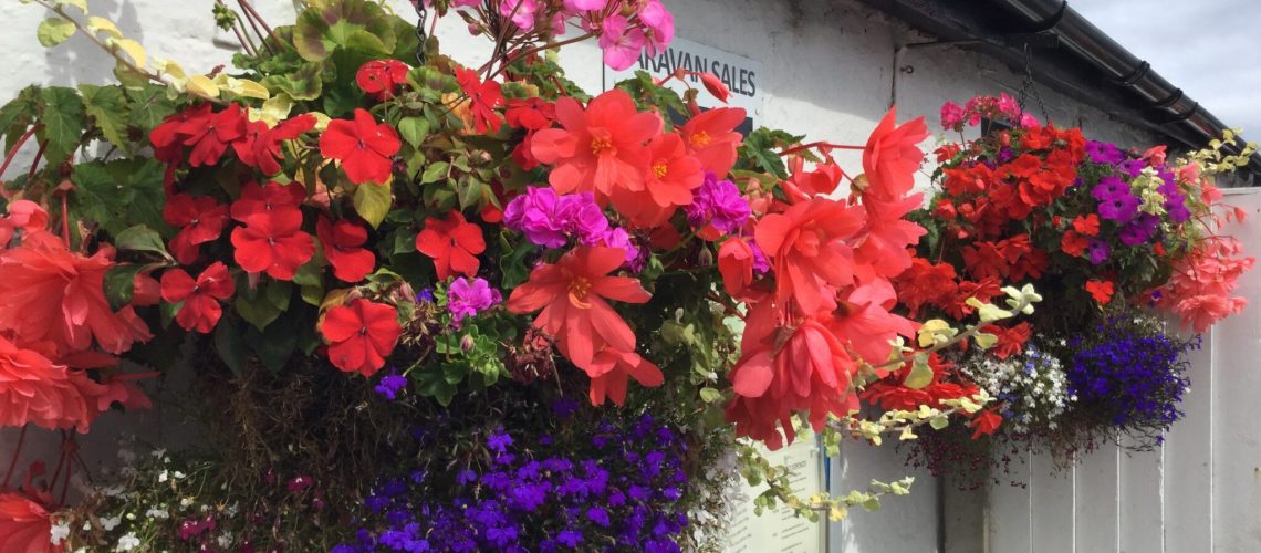 Hanging Baskets